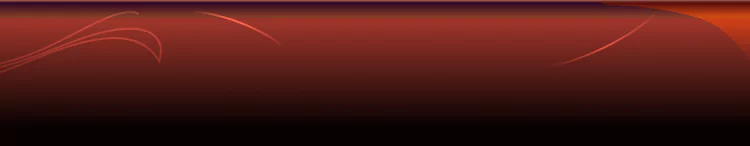 background category section